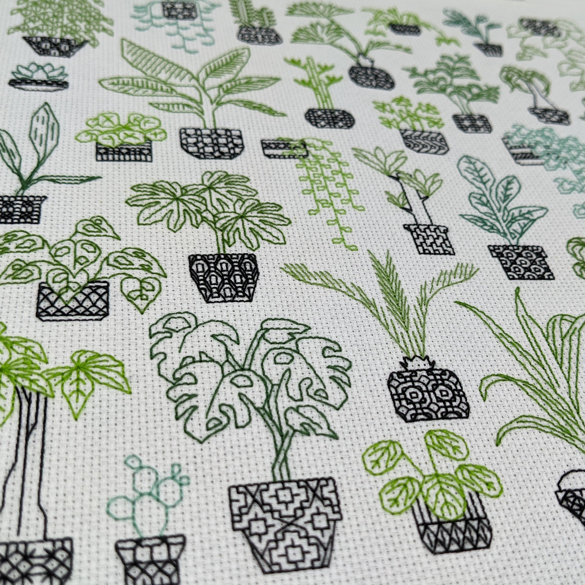 Plant friends – The Steady Thread